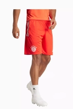 Шорты adidas FC Bayern 23/24 Training