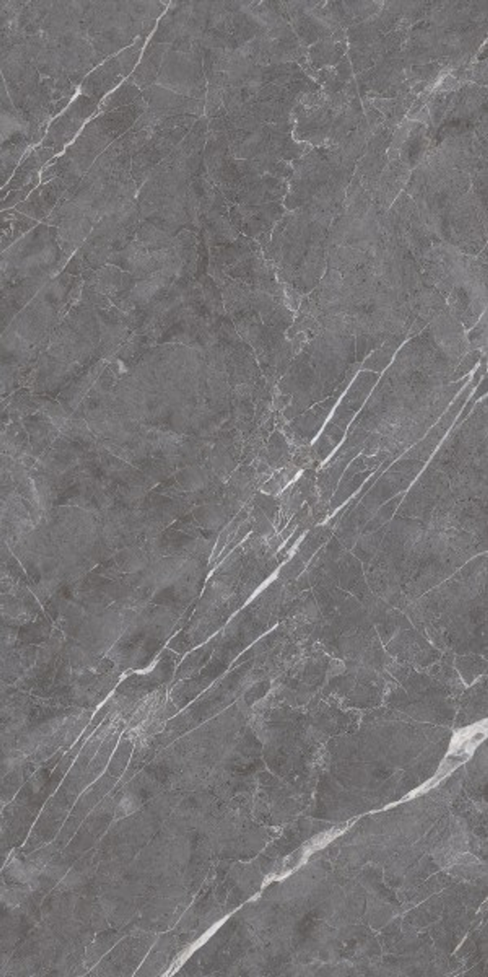 ESPERIA GRIGIO LAPPATO CL4003-A