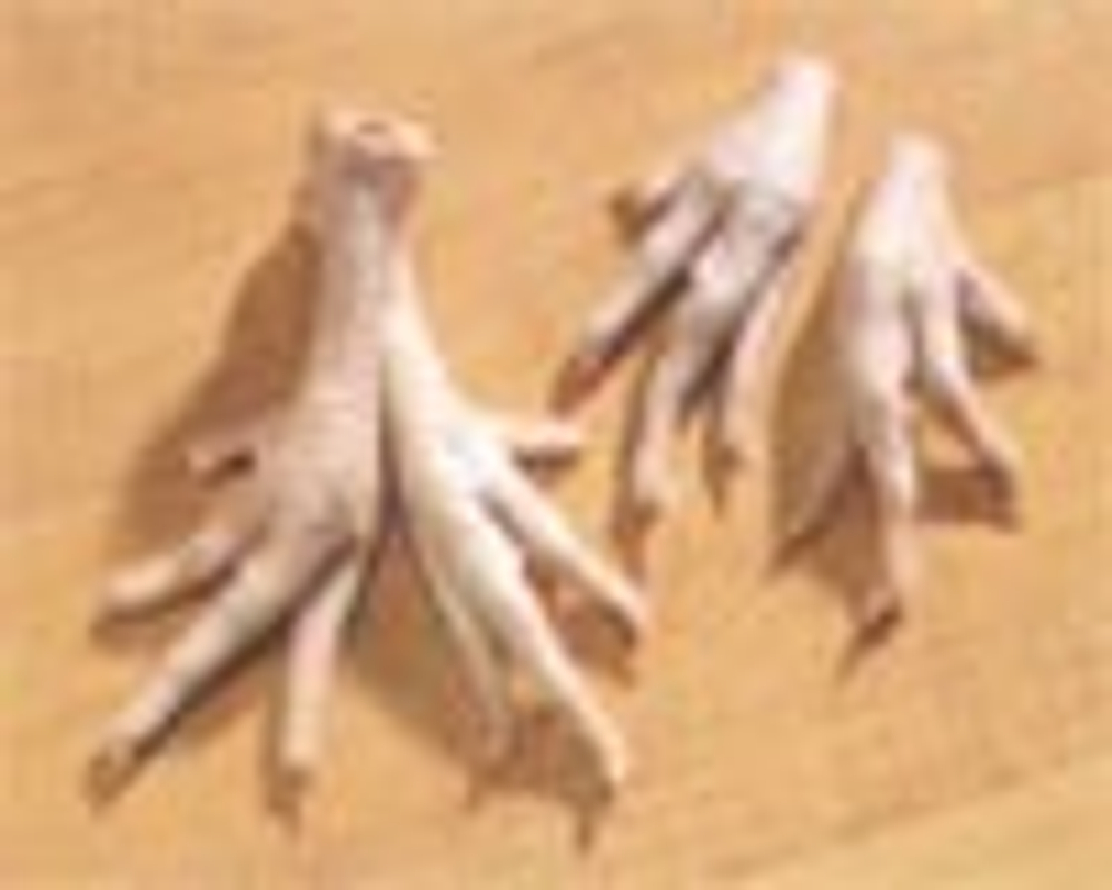 Субпродукты куриные - Лапки цыпленка (Chicken Feet, Chicken Paws)