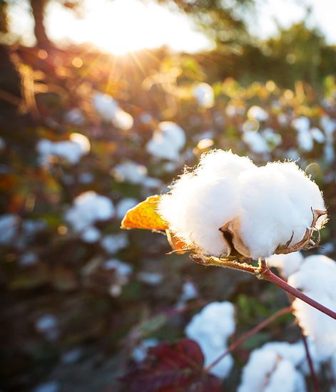 Tessuto, welcome спрей для текстиля, Culti Milano