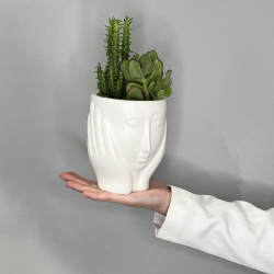 Композиция из суккулентов «Лори»