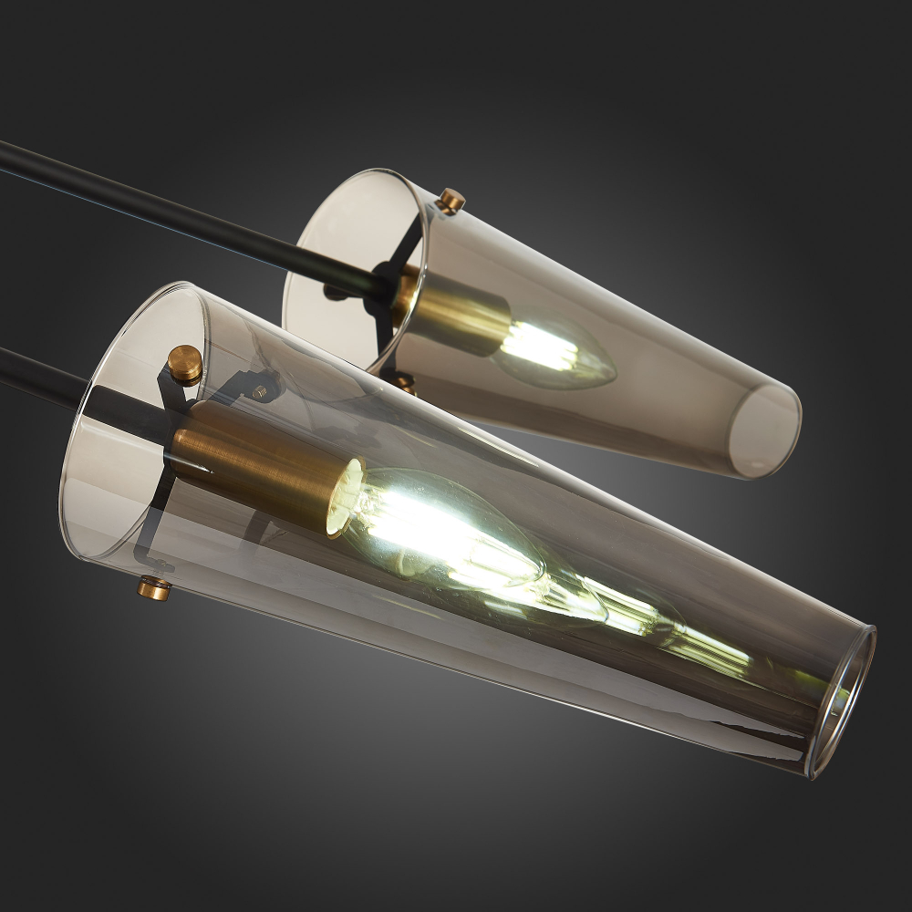 Светильник потолочный ST Luce Morave SL1209.302.06