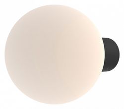 Светильник на штанге Maytoni Bold O598WL-01B1