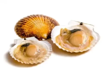 Гребешок золотой с/м на пол раковины 45/55 Китай 1/10кг