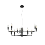 Подвесная люстра Aployt Evlalia APL.338.13.12