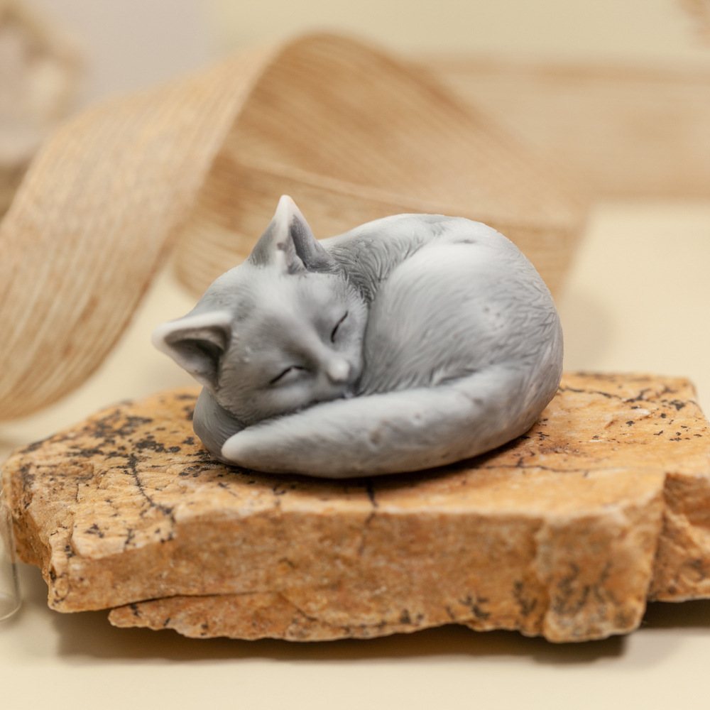 Котенок спящий