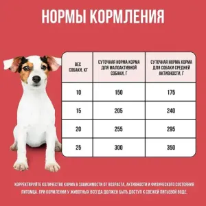 Уценка! Срок 27.08.26/ Сухой корм BOWL WOW для собак средних пород с индейкой, курицей, рисом и свеклой