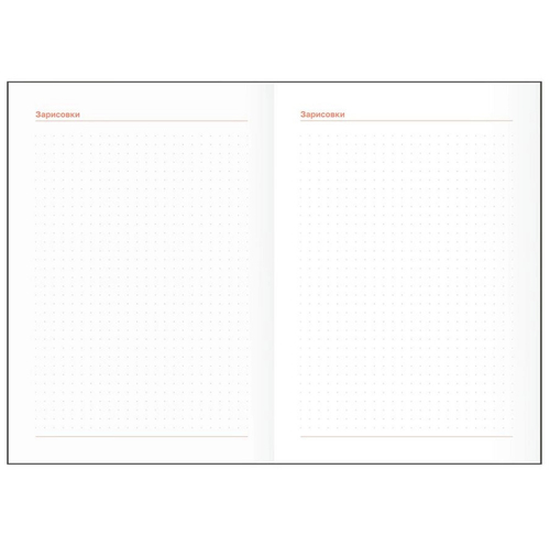 Планер школьный 1-11 кл. 64 л. БИДЖИ Мокко (Пш5т64_лм_тф 06327)