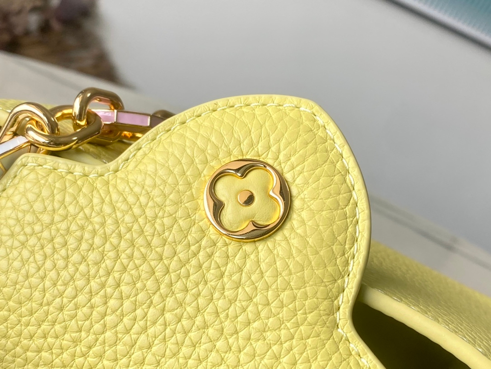 Louis Vuitton Capucines Mini