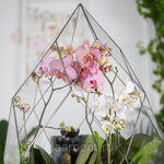 Флорариум с орхидеей и водопадом Будда Фаберже