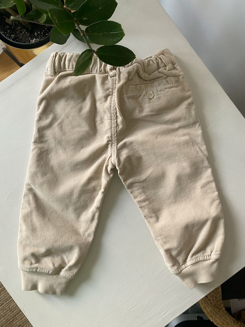 Вельветовые брюки  IL Gufo, 80