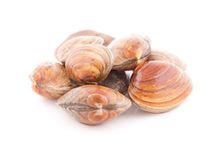 Вонголе живые, 500г