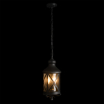 100020P Уличный подвесной светильник LOFT IT Ferrara