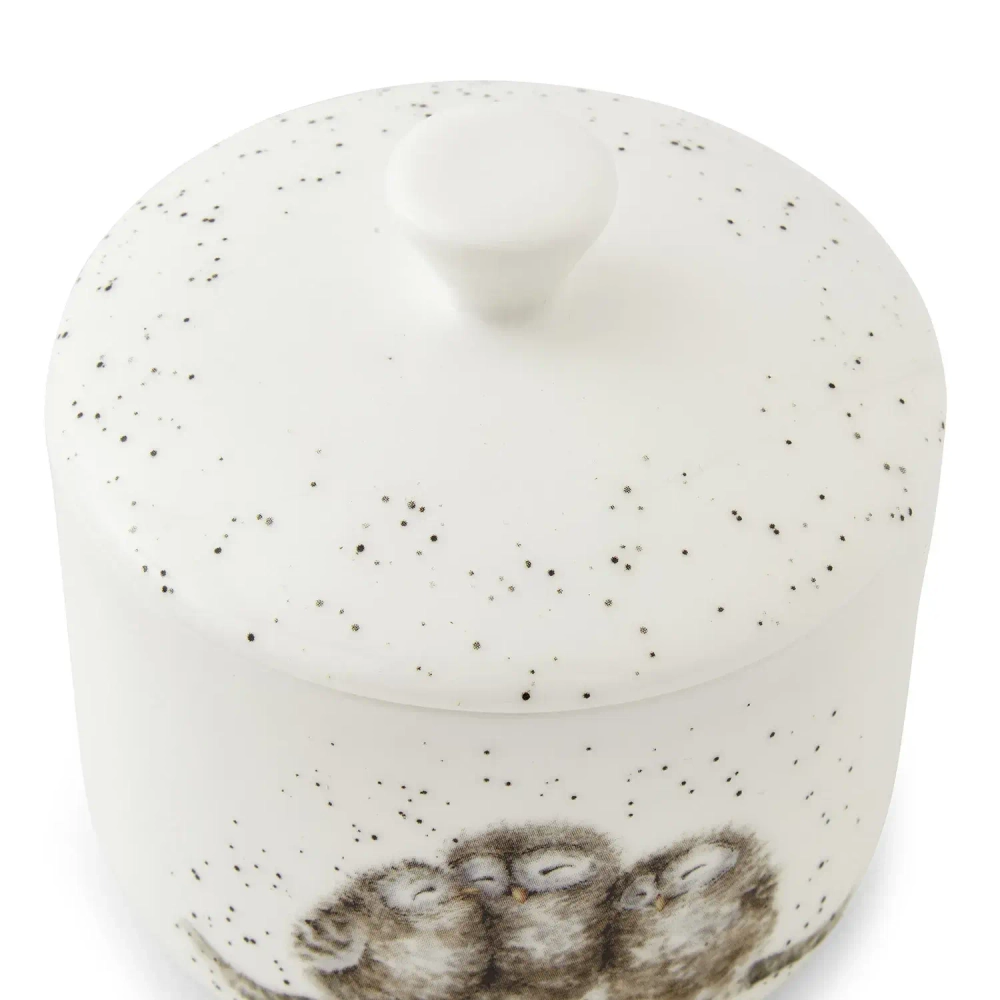 Royal Worcester Контейнер для совы Wrendale Designs 9,5x9,7 см