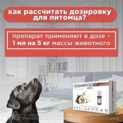 Сироп от гельминтов, профилактика дирофиляриоза для собак более 10кг Гельминтал (Neoterica), 10мл. Празиквантел/Моксидектин