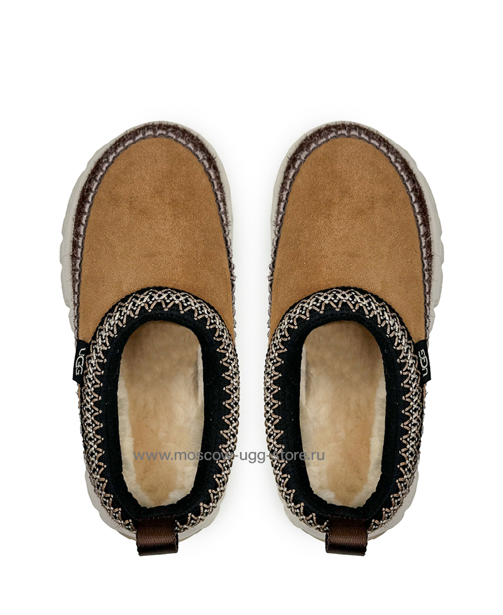 VENTURE DAZE - Chestnut Ceramic