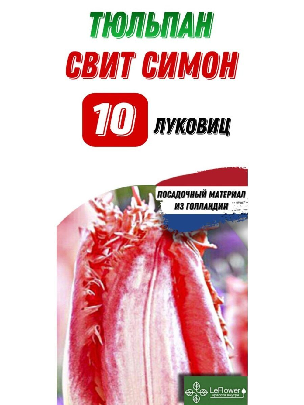 Тюльпан Луковица, Свит Симон, 10шт
