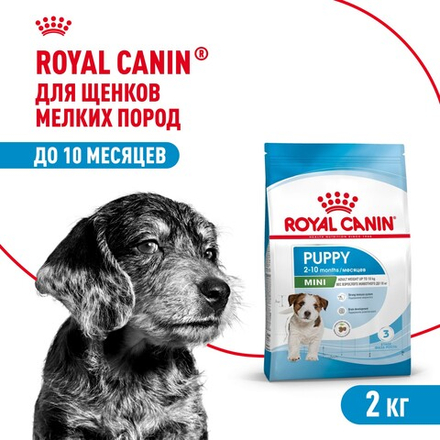 Royal Canin Mini Puppy Мини Паппи Корм сухой для щенков мелких пород в возрасте до 10 месяцев 2кг