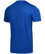 Футболка тренировочная DIVISION Training Tee, синий