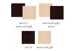 Шкаф-купе двухстворчатый «Мираж-13.1» (венге/млечный дуб), ЛДСП, Фант-мебель, г. Волжск