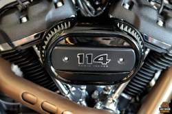 Harley-Davidson Softail Fat Bob 114 (FXFBS) 2021