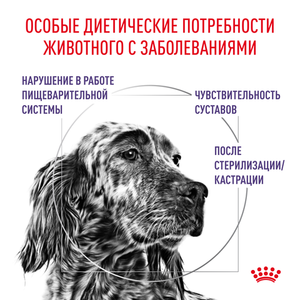 Корм для собак, Royal Canin Neutered Adult, для кастрированных/стерилизованных собак весом от 11 до 25 кг старше 12 мес.