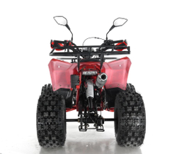 Квадроцикл WELS Thunder EVO X