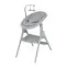 Стульчик для кормления ANEX OZY shade