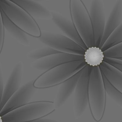 серые цветы на сером фоне