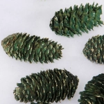 Композиция для декора «Сказочные шишки» 10*10*13 см (120 гр), зелёный