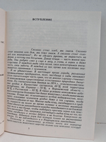 Птицы над полями