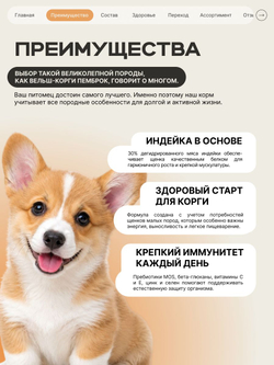 Корм сухой для щенков породы Вельш-корги пемброк, с индейкой, 3 кг, QUATTRO