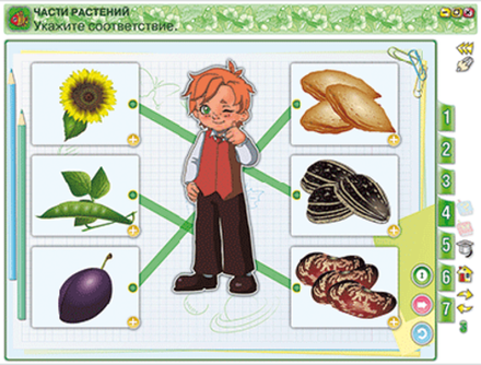 Окружающий мир 1 класс. Человек и природа. Человек и общество. Правила безопасной жизни