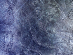 Коллекция WAVES