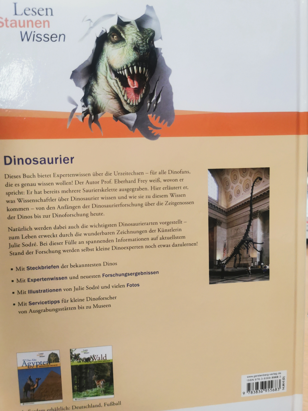 Lesen - Staunen - Wissen: Dinosaurier