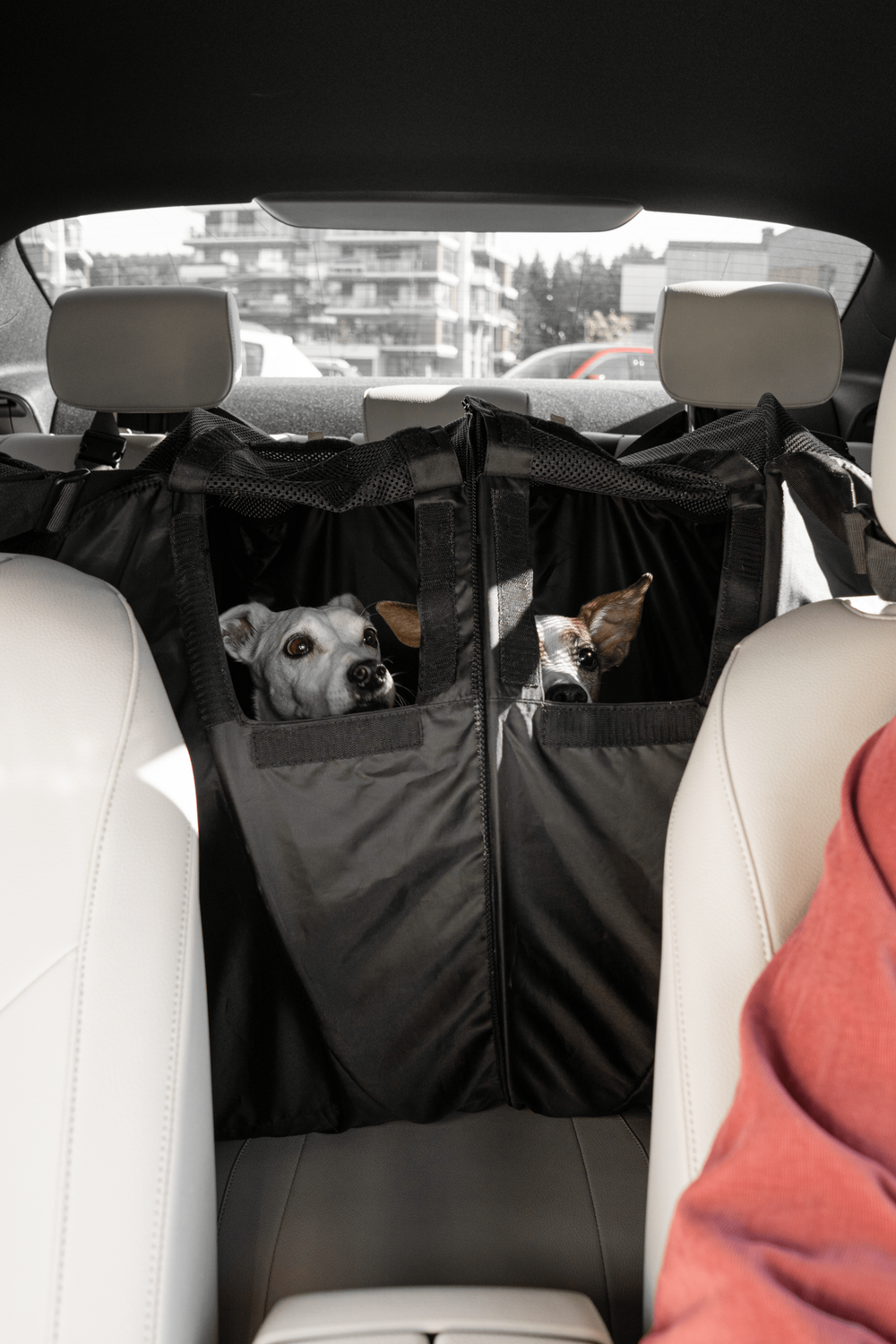 Перевозка для автомобиля Пони авто-доми