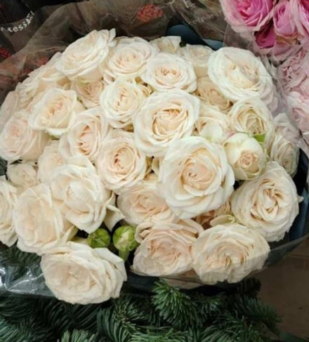 Заказ на сегодня