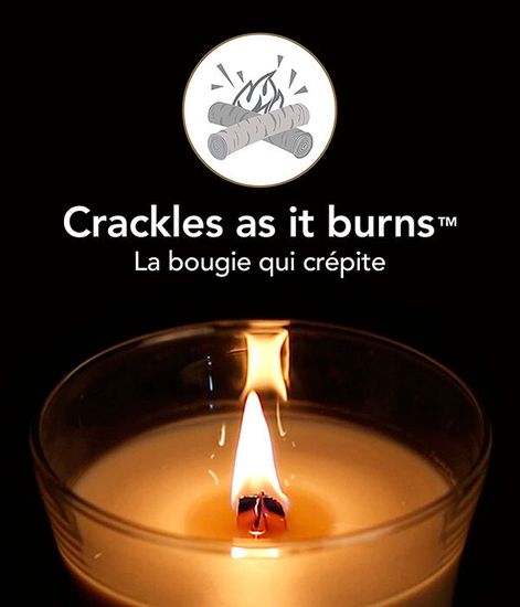 Дикие ягоды и сахарная свекла, ароматическая свеча, WoodWick