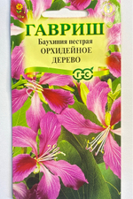 Баухиния Орхидейное дерево 3 шт СМЦ-35