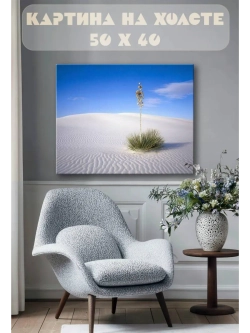 Картина на стену 40 X 50 Пустыня