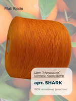 Filati Ricco 100% полиамид (эластан)