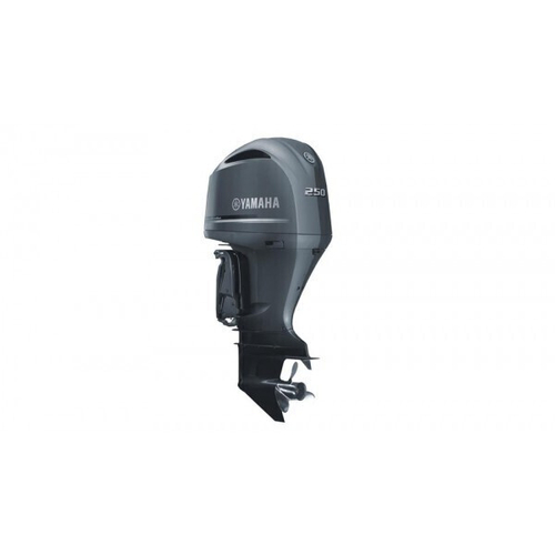 Лодочный мотор Yamaha F 250 DETX