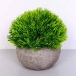 Цветочная композиция «Green garden» 10*12см в горшке, трава