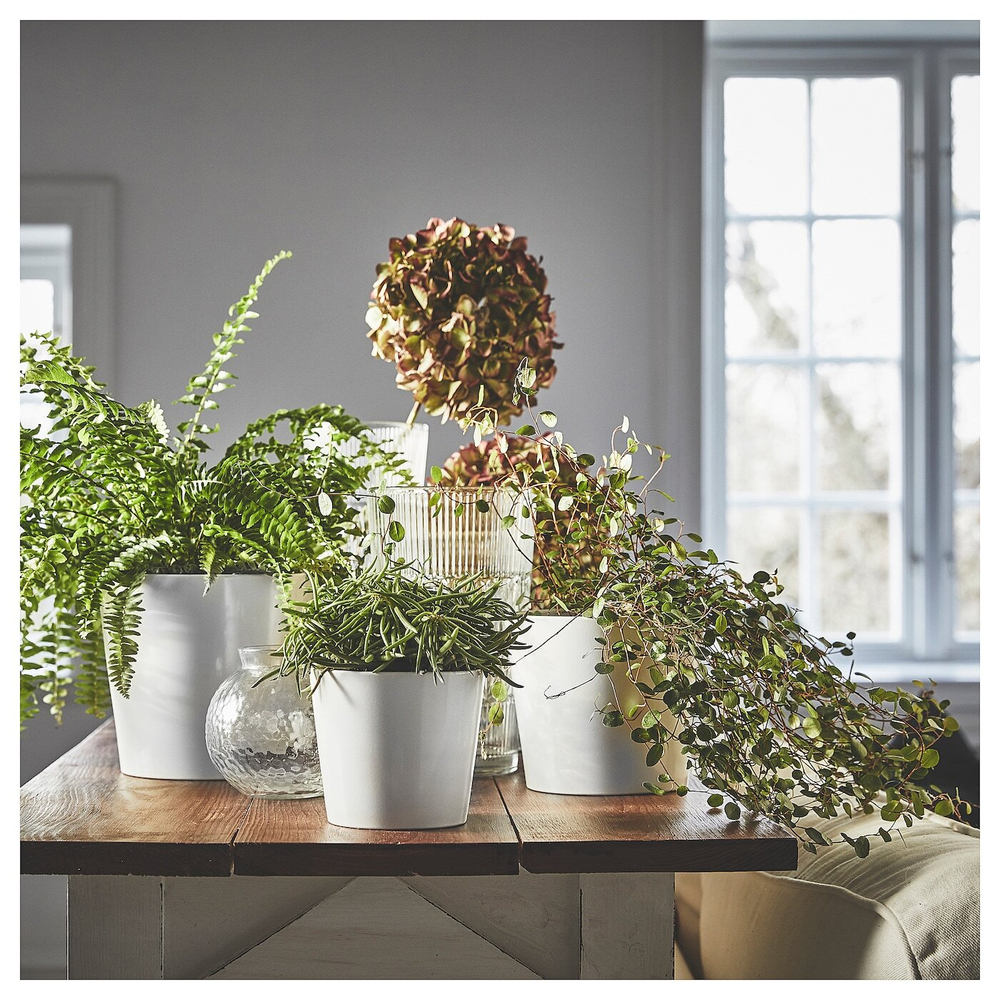 IKEA SOJABÖNA  (ИКЕА СОЙАБÖНА)  -  Простыня, белая, 15 см