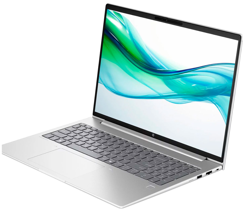 Ноутбук HP PROBOOK 460 G11 (AD2G9ET), серебристый в регионах России