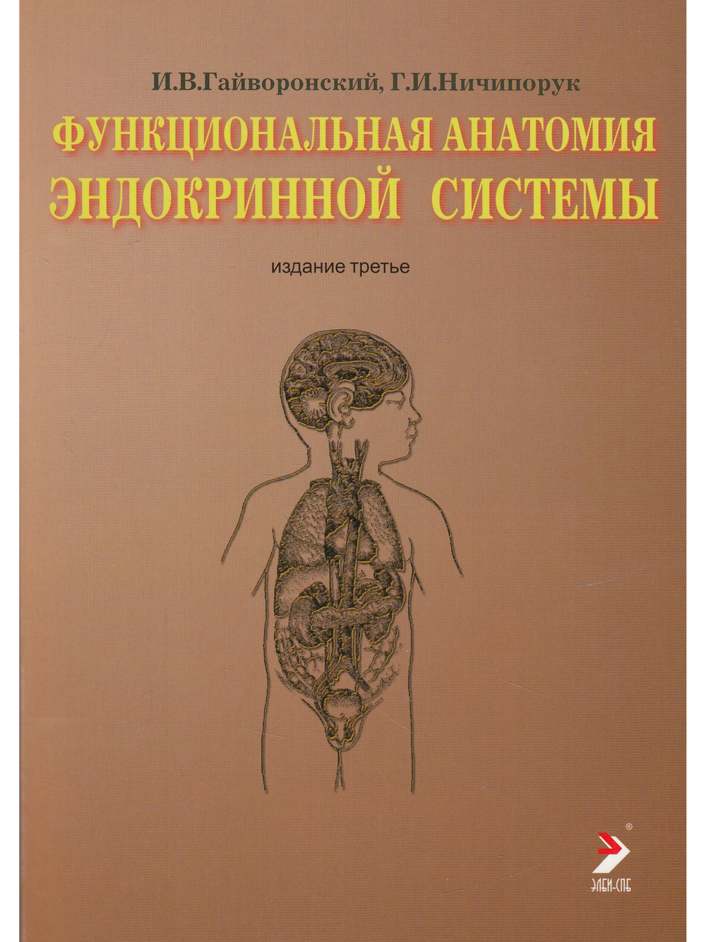 Функциональная анатомия эндокринной системы. Учебное пособие. 3-е изд.