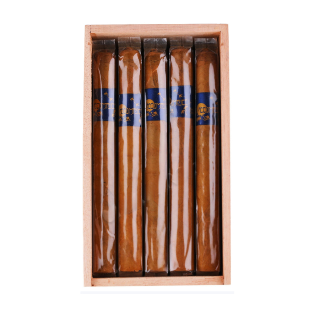 Principle Accomplice Connecticut Blue Band Churchill