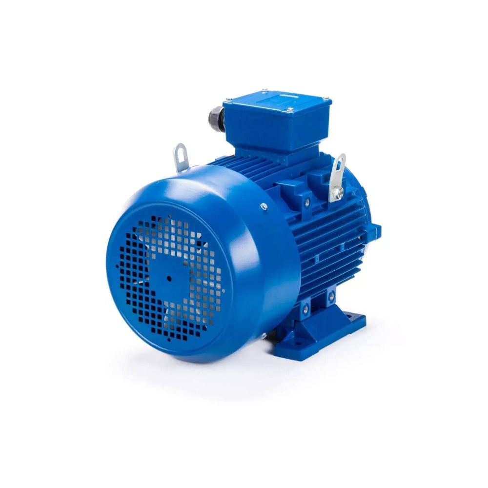 Электродвигатель ESQ 400 L4-SDN- 600/1500 IMB3