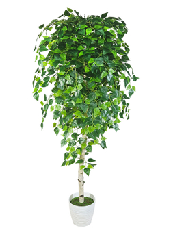 Береза искусственная 170см в кашпо