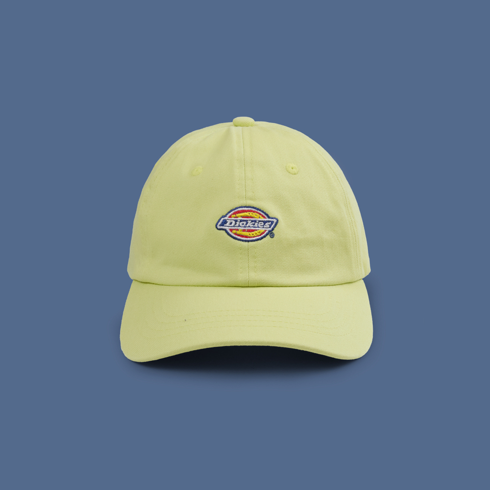 Кепка Dickies Hardwick 6 Panel Logo - купить в магазине Dice с бесплатной доставкой по России